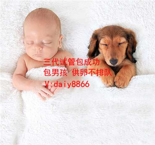 北京治疗卵巢早衰_哪里医院有正规的供卵_北京第三代试管婴儿_北京海淀妇幼做