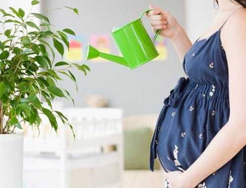 北京借卵生子_供卵的孩子长得不像_试管移植几天可以测出怀孕的症状_试管婴儿