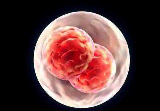 深圳可靠代怀 北京大学深圳医院三代试管技术可以查胚胎性别后再移植吗？ ‘